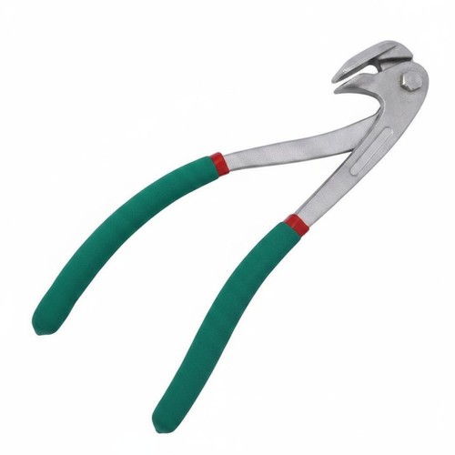 Eagle beak stainless - eagle, steel